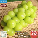 30位! 口コミ数「0件」評価「0」2024年先行予約 シャインマスカット 約750g 1房 ［小布施屋］フルーツ 果物 くだもの ぶどう 葡萄 ブドウ 数量限定 クール便配送･･･ 