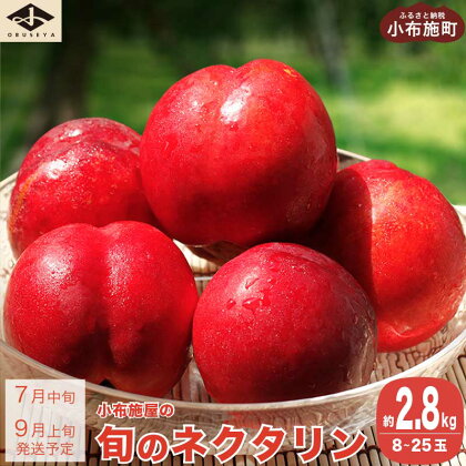 ネクタリン 約2.8kg 14～28玉 ［小布施屋］果物 フルーツ 桃 もも 長野県産 小布施 冷蔵便 クール便 産地直送 数量限定 令和6年産【2024年7月中旬～8月上旬発送】