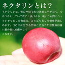 長野県小布施町の画像3