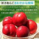 長野県小布施町の画像2