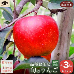 【ふるさと納税】 長野県産 旬のりんご 約3kg 6～12玉 ［小布施屋］ りんご 林檎 リンゴ 果物 フルーツ 信州産 特産 産地直送 産直 数量限定 お任せ お楽しみ 秋映 シナノスイート シナノゴールド シナノホッペ サンふじ 令和6年産 【2024年9月下旬～2025年1月下旬発送】