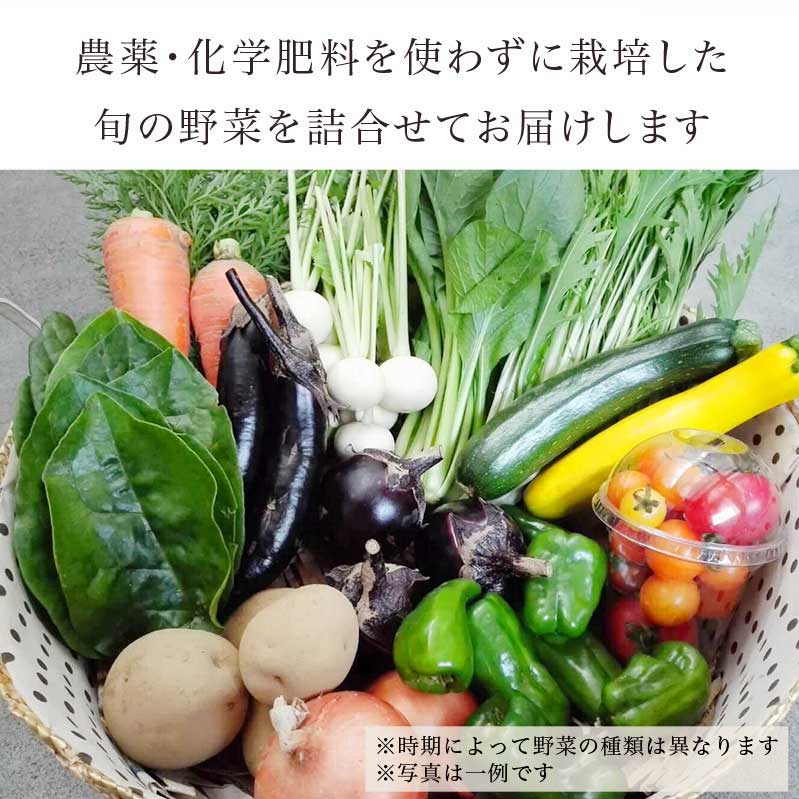 【ふるさと納税】［栽培期間中農薬・化学肥料不使用］ OBUSE Meguru 野菜セット ［新規就農者応援コース 幸作会］選べる内容量 S 7〜10種類 M 8〜11種類 L 9〜13種類 野菜 詰め合わせ 詰合せ 農薬不使用 化学肥料不使用 おまかせ やさい 詰合せ お楽しみ 長野県産 令和6年産