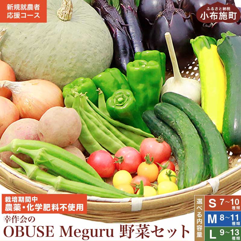 [栽培期間中農薬・化学肥料不使用] OBUSE Meguru 野菜セット [新規就農者応援コース 幸作会]選べる内容量 S 7〜10種類 M 8〜11種類 L 9〜13種類 野菜 詰め合わせ 詰合せ 農薬不使用 化学肥料不使用 おまかせ やさい 詰合せ お楽しみ 長野県産 令和6年産