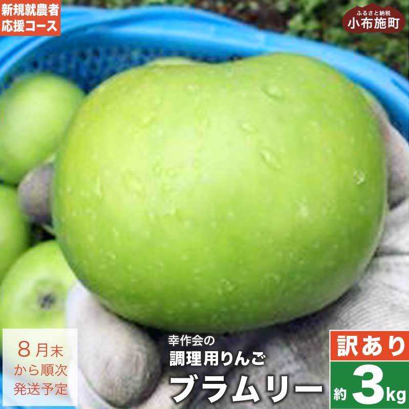 【ふるさと納税】【訳あり】 ブラムリー 約3kg ［新規就農者応援コース 幸作会］リンゴ りんご 林檎 フルーツ クッキング アップル 果物 産地直送 調理 アップルパイ 菓子 傷 キズ 不揃い 規格外 家庭用 数量限定 5000円 長野県産 令和6年産 【2024年8月末から順次発送】