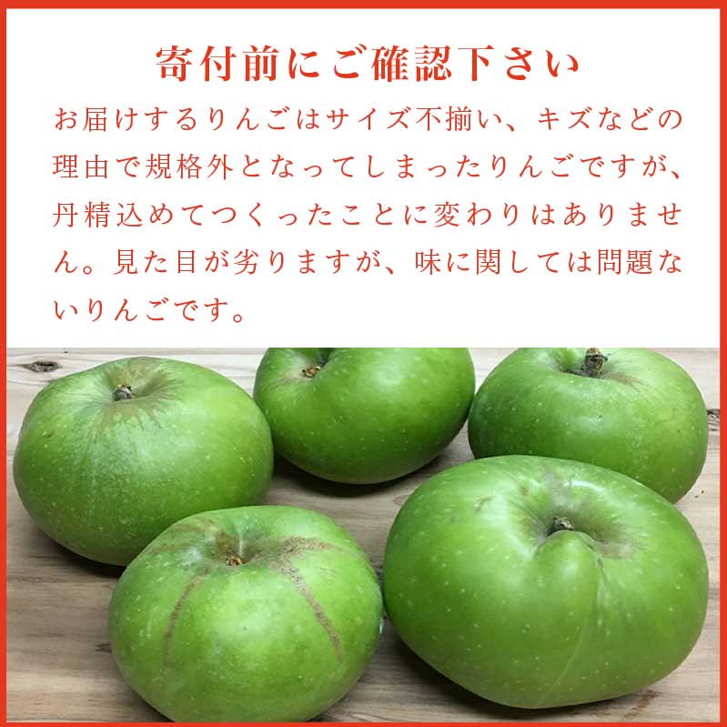 【ふるさと納税】【訳あり】 ブラムリー 約3kg ［新規就農者応援コース 幸作会］リンゴ りんご 林檎 フルーツ クッキング アップル 果物 産地直送 調理 アップルパイ 菓子 傷 キズ 不揃い 規格外 家庭用 数量限定 5000円 長野県産 令和6年産 【2024年8月末から順次発送】