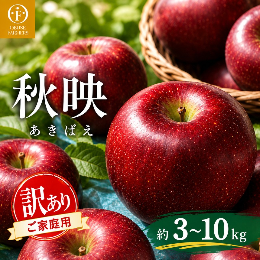 先行受付 秋映 訳あり 家庭用 約3kg 約5kg 約10kg 選べる内容量[おぶせファーマーズ] | りんご 林檎 リンゴ フルーツ 果物 くだもの 長野県産 小布施 産地直送 常温配送 2026年発送 令和8年産 [2026年9月下旬〜10月中旬発送予定]