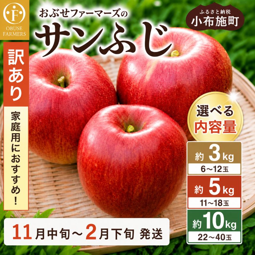 【ふるさと納税】【訳あり】先行受付 サンふじ 選べる内容量 約3kg 6～12玉 約5kg 11～18玉 約10kg 22～40玉 ［おぶせファーマーズ］ 果物 フルーツ りんご 不揃い 規格外 家庭用 林檎 リンゴ ふじ 長野県 信州 数量限定 令和8年産 【2026年11月中旬〜2027年2月下旬発送】