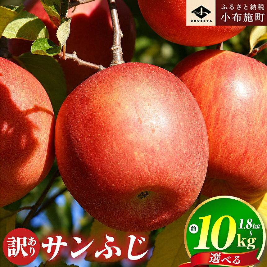 [訳あり]先行予約 サンふじ 選べる内容量 約1.8kg・約3kg・約5kg・約10kg りんご食べ比べ 3回定期便[小布施屋]|定期便 りんご 林檎 不揃い 規格外 家庭用 長野県 小布施町 令和8年産[2026年11月〜2027年3月発送]