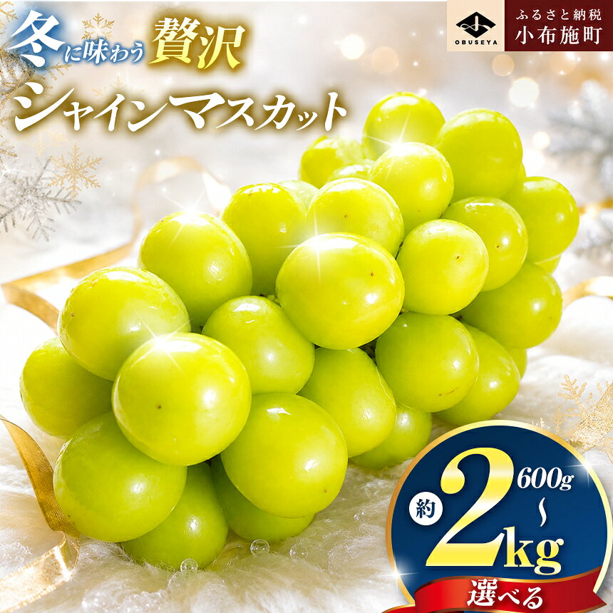 先行受付 蔵出し冬のシャインマスカット 選べる 約600g 約760g 約1kg 約1.3kg 約2kg [小布施屋]ぶどう フルーツ 果物 くだもの 長野県 冷蔵便 クール便 産地直送 令和8年産[2026年11月中旬〜2027年2月発送]