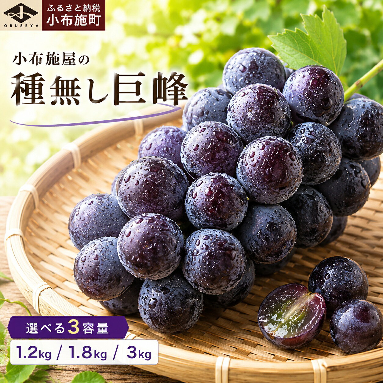 種無し巨峰 約1.2kg 約1.8kg 約3kg 選べる内容量 [小布施屋] 種なし 果物 フルーツ ぶどう 葡萄 種無し 種なし クール便 冷蔵便 先行予約 数量限定 長野県産 信州産 デザート 令和8年産 [2026年9月上旬〜10月発送]