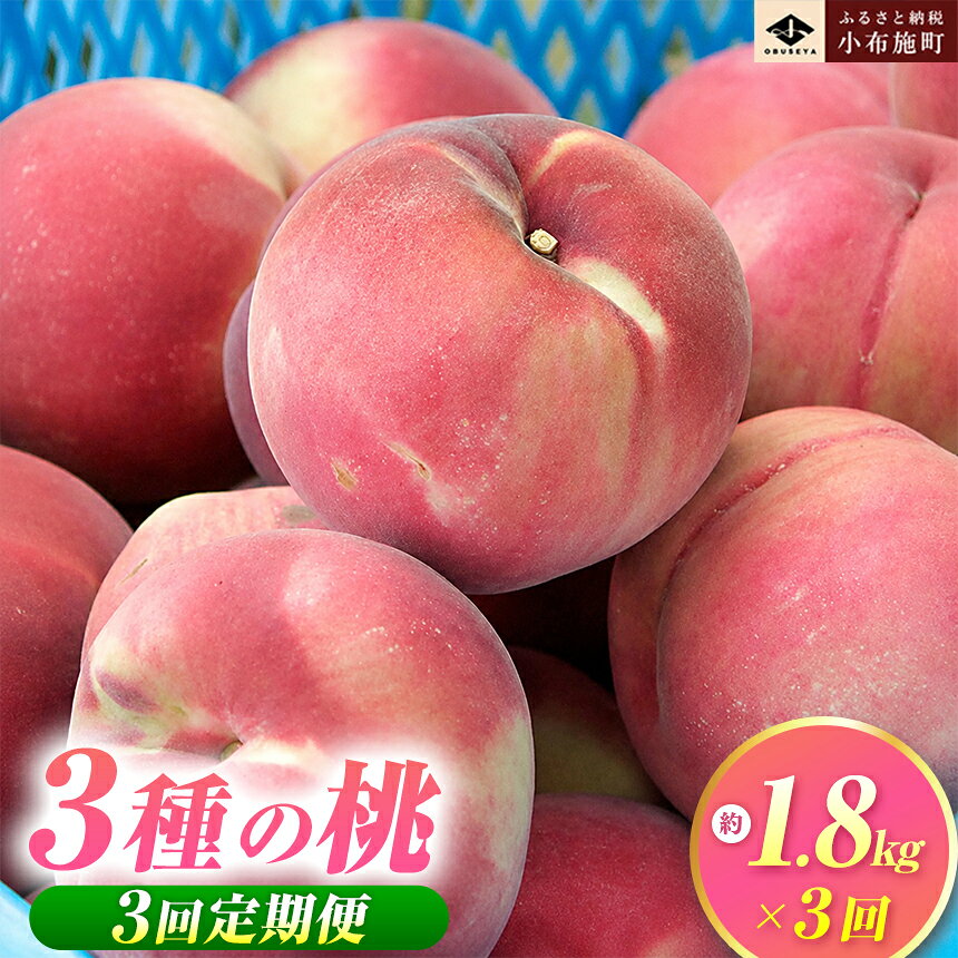 【3回定期便】小布施屋の桃食べ比べ定期便 約1.8kg×3回 ［小布施屋］ もも モモ フルーツ 果物 先行予約 あかつき なつっこ 川中島白桃 だて白桃 1.8kg 3回 長野県産 信州産 クール便 冷蔵便 令和8年産 【2026年7月末〜9月上旬発送】