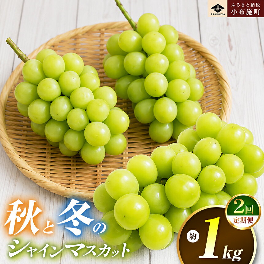 商品説明 名称 秋と冬のシャインマスカット2回定期便 約1kg × 2回 合計 約2kg 内容量 1回目：シャインマスカット 約1kg 2回目：蔵出し冬のシャインマスカット 約1kg 保存方法 青果物のためお早めにお召し上がりください。 配送方法 冷蔵 発送時期 1回目：2026年10月発送予定 2回目：2026年11〜12月発送予定 ※天候や収穫状況によりお届け期間・品種が変更となる場合がございます 注意事項 【発送について】 ※お届け日の指定はできませんので、ご了承ください。 ※長期不在のご予定があれば事務局へご連絡ください。 ※尚、長期不在等によりお礼の品をお受取りできなかった場合、再発送はできません。あらかじめご了承ください。 ※配送業者はヤマト運輸となりますので、配送連絡をご希望の方は、クロネコメンバーズの加入をお勧めいたします。 ※返礼品の配送先住所に変更があった場合には、速やかに事務局までご連絡ください。 ※発送可能時期になり、発送されると、ご寄附時に登録したメールアドレスに「出荷完了メール」が届きます。 ※発送後の場合は、直接、配送業者にお問い合わせください。 ※転送料金がかかる場合は寄附者様のご負担となります。 事業者 小布施屋 / 小布施町大字中松496-1 ・ふるさと納税よくある質問はこちら ・寄付申込みのキャンセル、返礼品の変更・返品はできません。あらかじめご了承ください。秋と冬のシャインマスカット2回定期便 約1kg × 2回 合計 約2kg 秋にも冬にも食べられる、贅沢シャインマスカットの定期便ぶどうの中でも一番人気のシャインマスカットを2回お届けします。 -10月お届け-　シャインマスカット　約1kg さわやかな緑色の果皮が特徴のシャインマスカットは、口に含んだ瞬間、マスカット独特の心地よい香りが広がります。薄くてやわらかく、弾力のある果皮は、パリッとした歯ごたえとともに口の中で弾け、果汁があふれ出します。糖度は18～20度と非常に甘く、まさに理想形のぶどうです。 -11月～12月お届け-　蔵出し冬のシャインマスカット 約1kg 秋に収穫したシャインマスカットを専用の冷蔵庫で貯蔵することで劣化を最小限に抑え、冬でも美味しくシャインマスカットをお楽しみいただけます。冷蔵貯蔵する事で、じっくりと水分が抜けるため、まろやかな甘さが増した味わいになります。 秋の採れたてのシャインマスカットと、冬に食べる贅沢なシャインマスカットをご堪能ください。 提供：小布施屋 「ふるさと納税」寄付金は、下記の事業を推進する資金として活用してまいります。 寄付を希望される皆さまの想いでお選びください。 0　使い道は、小布施町にお任せ。 1から6の使い道に応じた事業を実施する際、財源（寄附金）が不足した場合、優先的にご寄附をその事業に使わせていただきます。 1　福祉と健康を推進する事業 高齢者がいつまでも元気で地域活動に参加でき、安心して暮らせる町を目指します。また、ウォーキングを中心とした運動、スポーツを推進し健康長寿世界一を目指します。 2　産み育てやすい子育て支援事業 一人ひとりのお子さんの成長を、切れ目なく、きめ細やかに見守ります。多様な保育サービスの充実、待機児童ゼロを推進します。コミュニティスクールを導入し、地域が連携して子育てを行います。 3　多様な学びの場の創出事業 まちとしょテラソ（町立図書館）の更なる利活用、美術館の魅力づくりを進め、生涯学習、文化活動を一層充実します。大学・教育機関とも連携し、多様な学びの場を創出します。 4　果物のブランド化と産業を充実させる事業 特色のある農産物、付加価値の大きい農産加工品のブランド力を高めます。多彩な資源を生かし新たな産業（交流産業）を創出し、農業・商業・工業・サービス業の連携、充実を図ります。 5　Iターン・Uターンによる定住促進事業 楽しいから住んでいる、住みたくなるまちを目指して、移住、定住を推進します。地方から新しい価値や具体的な行動を生みだし、若い人が活躍できるまち、地域の皆さんと一緒になって地方創生を進めます。 6　安心・安全なまちづくり事業 人中心の道、安心して歩ける道整備や、うるおいのある美しい町並み、景観の維持、持続可能なエネルギーの研究、防災対策などを推進し、安心、安全なまちづくりを進めます。 7　脱炭素社会の実現に向けた事業 地域と共生した再生可能エネルギーの普及、省エネルギーな住まいづくりの推進、自家用車などの移動手段の脱炭素化、町内外の町の生ごみや剪定枝等の資源活用の促進などに取り組み、「環境先進都市」の実現を目指します。 入金確認後、注文内容確認画面の【注文者情報】に記載の住所にお送りいたします。 発送の時期は、寄付確認後1か月以内を目途に、お礼の特産品とは別にお送りいたします。 ふるさと納税よくある質問はこちら 寄付申込みのキャンセル、返礼品の変更・返品はできません。 寄付者の都合で返礼品が届けられなかった場合、返礼品等の再送はいたしません。あらかじめご了承ください。 この商品はふるさと納税の返礼品です。 スマートフォンでは「購入手続きへ」と表記されておりますが、寄付申込みとなりますのでご了承ください。