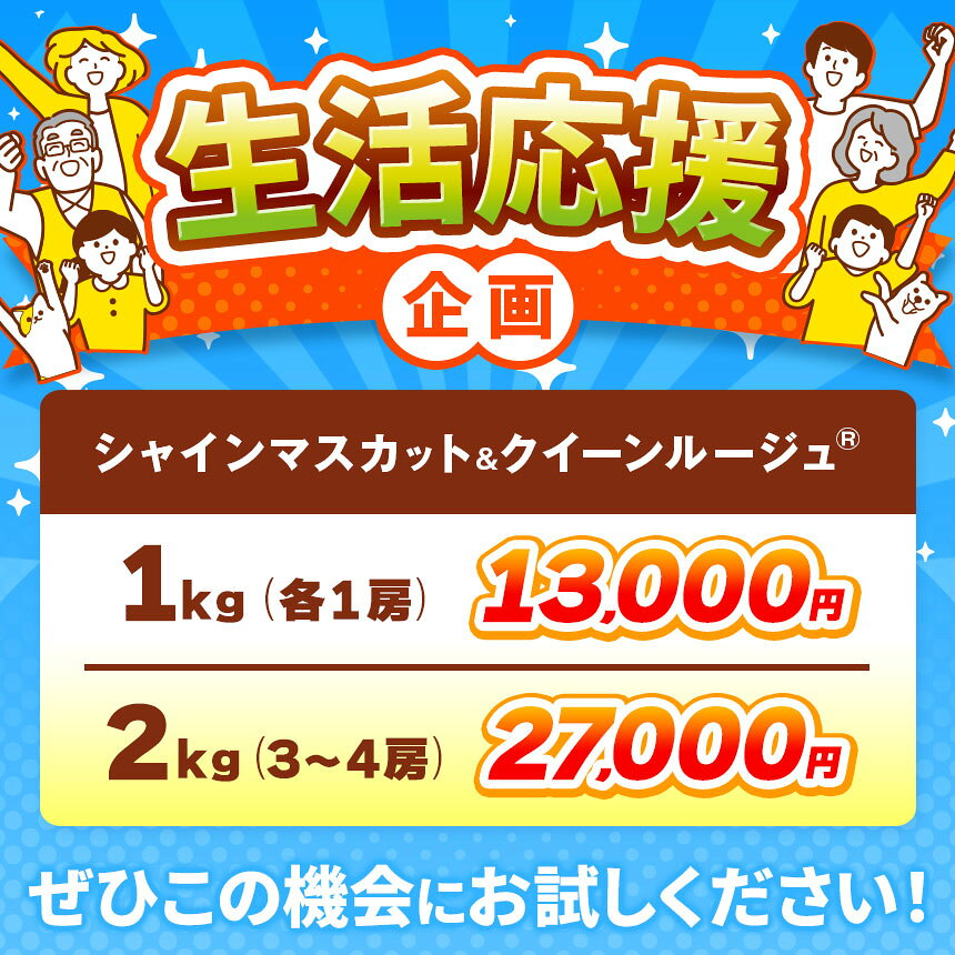【ふるさと納税】シャインマスカット＆クイーンルージュ® 約1kg 約2kg 選べる内容量 ［小布施屋］ぶどう 食べ比べ フルーツ 果物 くだもの 葡萄 ブドウ クール便 冷蔵 お楽しみ 長野県産 信州産 令和8年産 【2026年9月下旬～11月上旬発送】