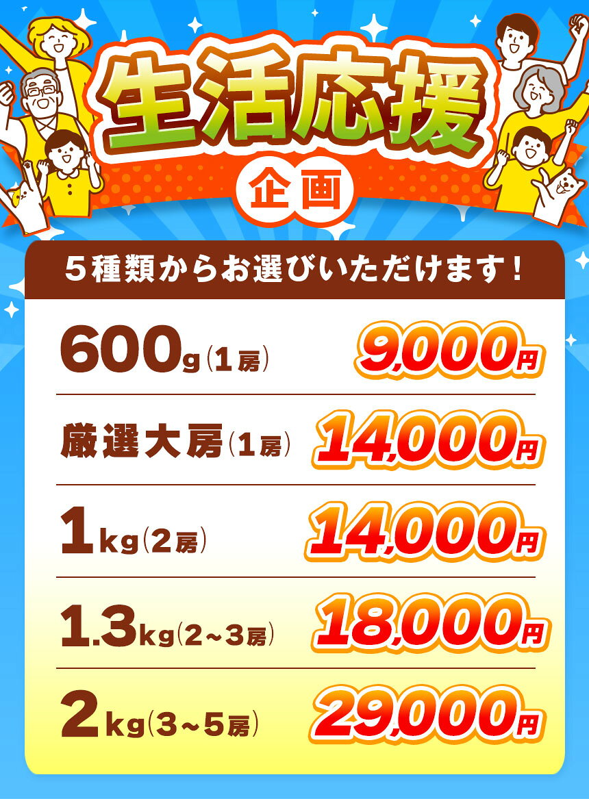 【ふるさと納税】先行受付 蔵出し冬のシャインマスカット 選べる 約600g 約760g 約1kg 約1.3kg 約2kg ［小布施屋］ぶどう フルーツ 果物 くだもの 長野県 冷蔵便 クール便 産地直送 令和8年産【2026年11月中旬～2027年2月発送】 f205419-obuse-10000177 長野県小布施町 サンプル画像2