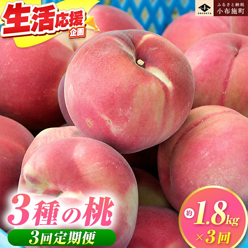 [3回定期便]小布施屋の桃食べ比べ定期便 約1.8kg×3回 [小布施屋] もも モモ フルーツ 果物 先行予約 あかつき なつっこ 川中島白桃 だて白桃 1.8kg 3回 長野県産 信州産 クール便 冷蔵便 令和8年産 [2026年7月末〜9月上旬発送]