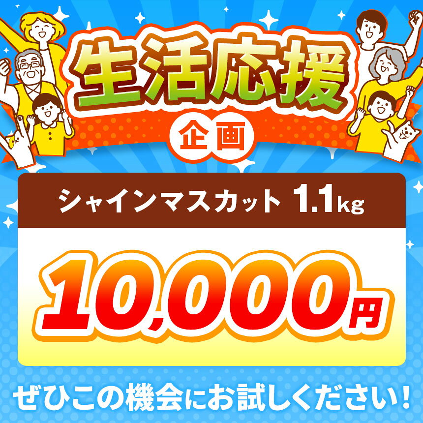 【ふるさと納税】先行受付 シャインマスカット 約500g 約1.1kg 約1.4kg 約2kg 約3kg 選べる内容量［小布施屋］ | フルーツ 果物 くだもの ぶどう 葡萄 ブドウ 数量限定 クール便配送 長野県産 小布施 産地直送 2026年発送 令和8年産 【2026年9月下旬頃～11月上旬に順次発送】