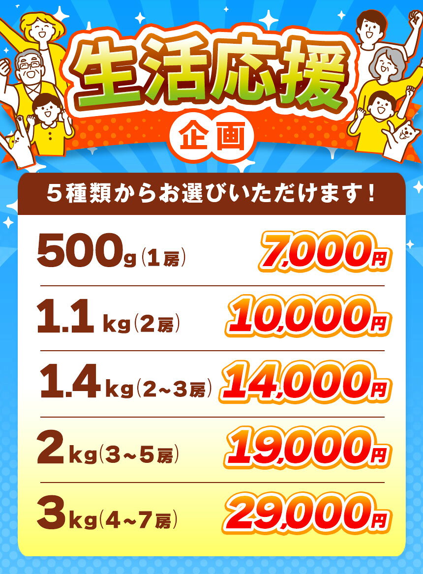 【ふるさと納税】先行受付 シャインマスカット 約500g 約1.1kg 約1.4kg 約2kg 約3kg 選べる内容量［小布施屋］ | フルーツ 果物 くだもの ぶどう 葡萄 ブドウ 数量限定 クール便配送 長野県産 小布施 産地直送 2026年発送 令和8年産 【2026年9月下旬頃～11月上旬に順次発送】