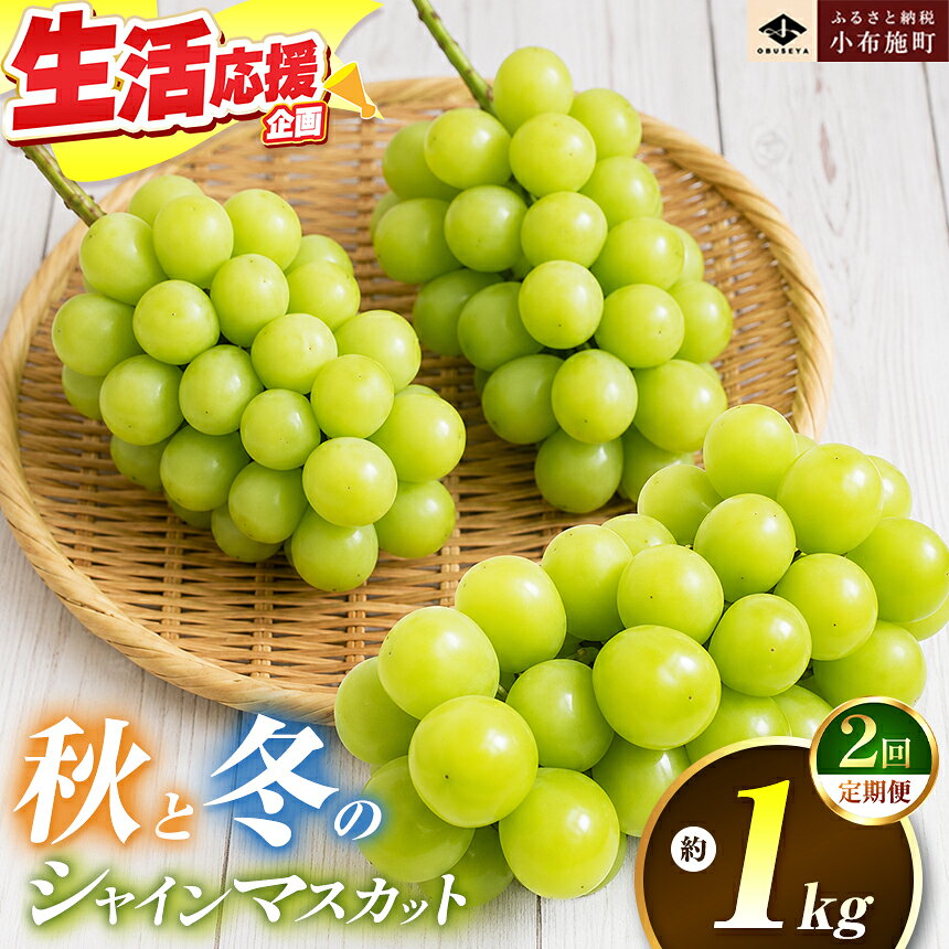 【ふるさと納税】秋と冬のシャインマスカット2回定期便 約1kg × 2回 合計 約2kg ［小布施屋］ フルーツ ぶどう 果物 くだもの 葡萄 ブドウ 長野県産 信州産 クール便 冷蔵便 数量限定 先行予約 送料無料 令和8年産【2026年10月～12月発送】