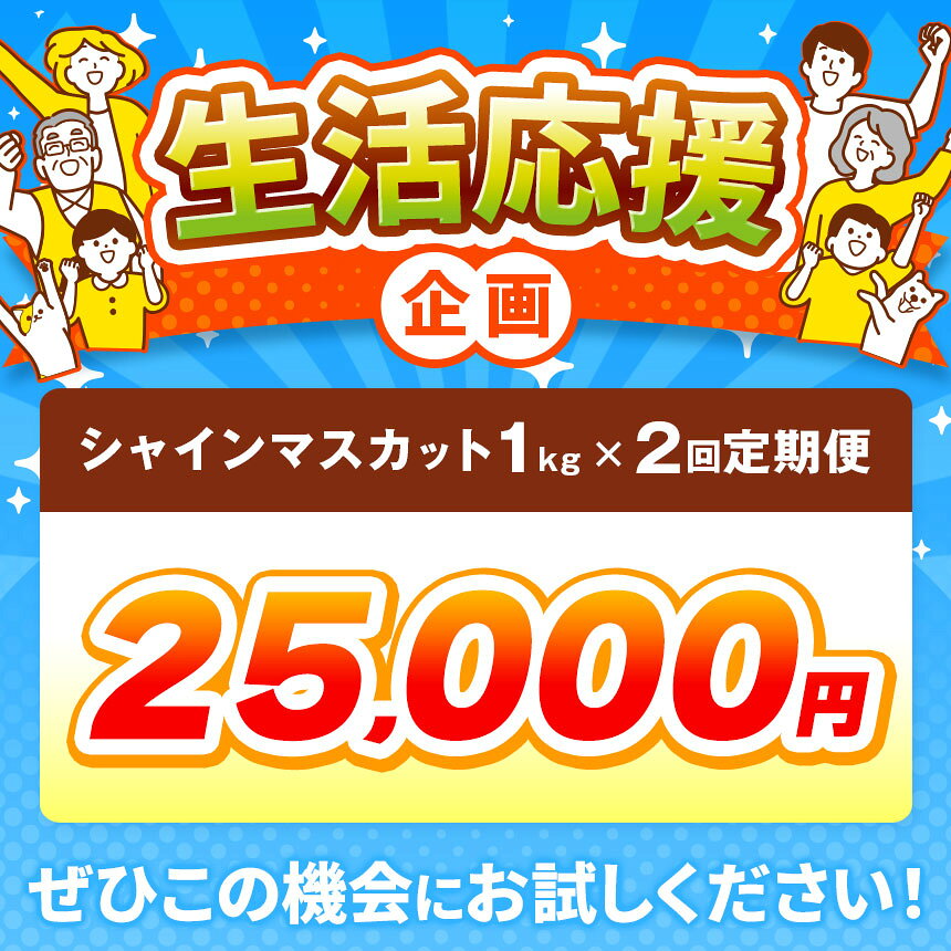 【ふるさと納税】秋と冬のシャインマスカット2回定期便 約1kg × 2回 合計 約2kg ［小布施屋］ フルーツ ぶどう 果物 くだもの 葡萄 ブドウ 長野県産 信州産 クール便 冷蔵便 数量限定 先行予約 送料無料 令和8年産【2026年10月～12月発送】