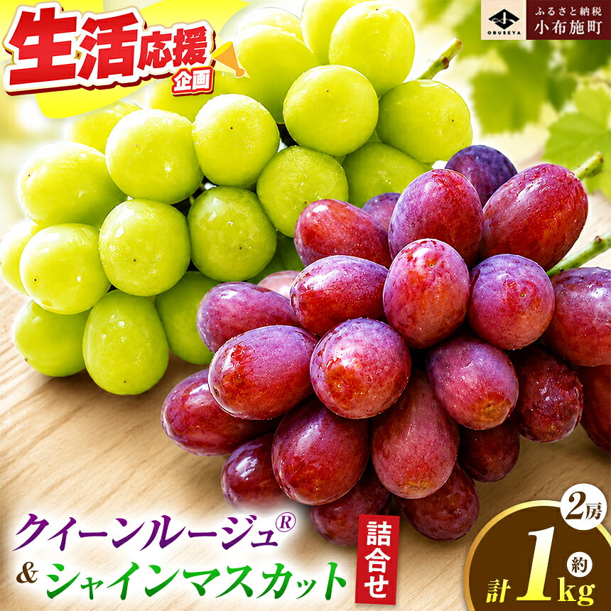 先行受付 クイーンルージュ® & シャインマスカット 詰合せ 約1kg 各1房 [2026年9月上旬〜11月上旬発送][新規就農者応援コース 幸作会]|フルーツ ブドウ 果物 ぶどう 長野 信州 クール便 冷蔵便 詰め合わせ セット 食べ比べ 詰め合わせ 小布施町