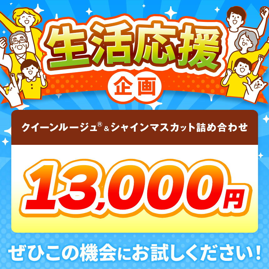 【ふるさと納税】先行受付 クイーンルージュ® & シャインマスカット 詰合せ 約1kg 各1房 【2026年9月上旬～11月上旬発送】［新規就農者応援コース 幸作会］｜フルーツ ブドウ 果物 ぶどう 長野 信州 クール便 冷蔵便 詰め合わせ セット 食べ比べ 詰め合わせ 小布施町