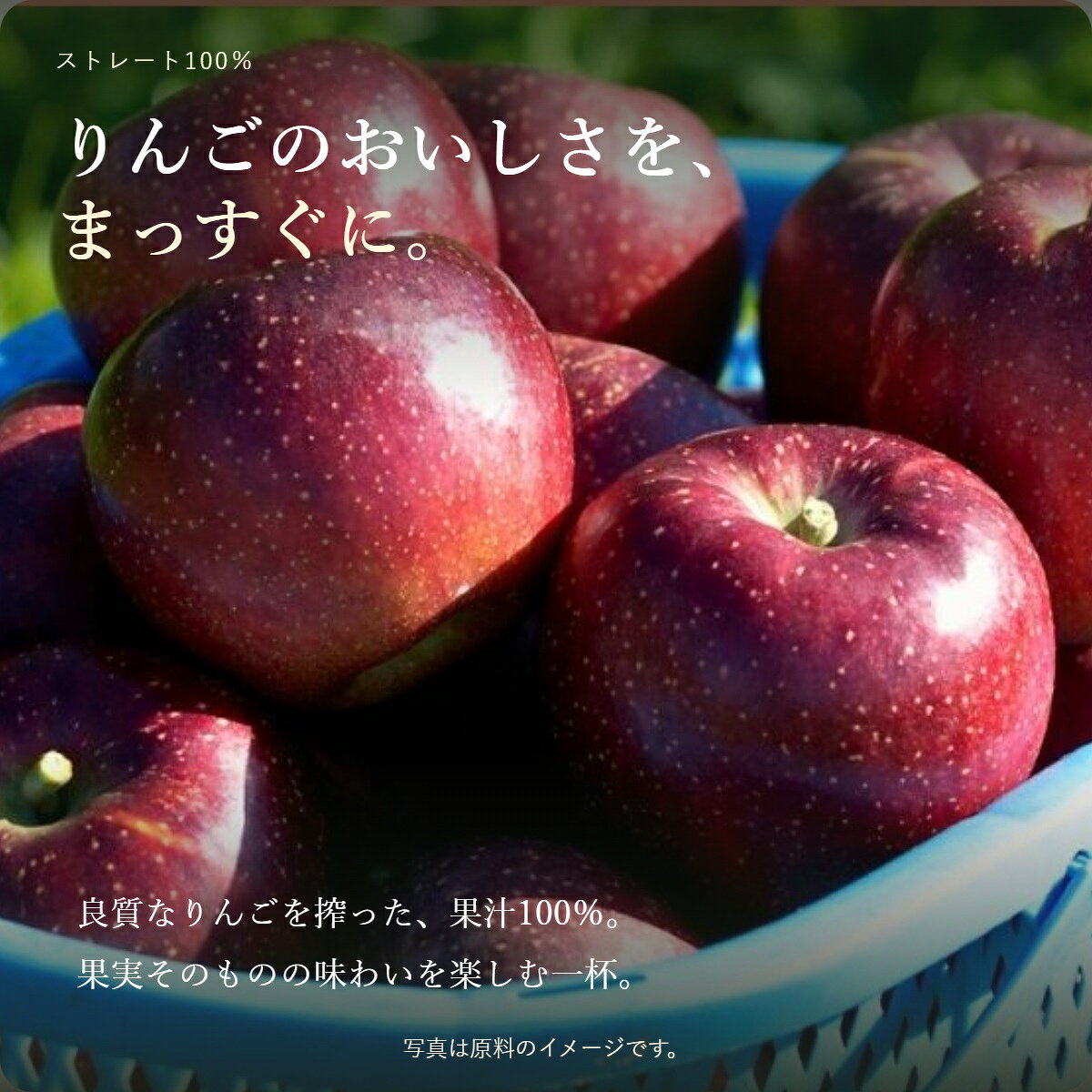 【ふるさと納税】 【3ヶ月定期便】 小布施屋 りんごジュース 3本×3ヶ月 ［小布施屋］ ジュース 果実飲料 ストレート100% 飲料類 飲み比べ りんご 林檎 リンゴ 長野県産 ストレートジュース 全3回 配送 果実 味わい 朝食 飲料 果物ジュース ドリンク 食卓 f205419-obuse-10000186 長野県小布施町 サンプル画像3
