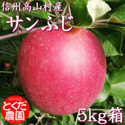 【ふるさと納税】高山村産りんご(サンふじ)5kg箱【1299376】