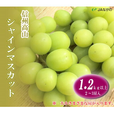 【ふるさと納税】【2024年9月以降発送】信州高山　シャインマスカット1.2kg以上　2～3房入り【配送不...