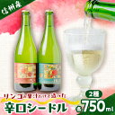 ビール・洋酒(その他)人気ランク14位　口コミ数「1件」評価「5」「【ふるさと納税】辛口シードル2本セット【1393126】」