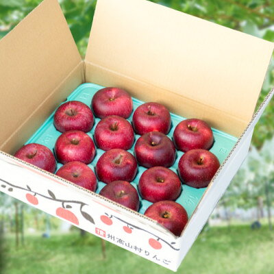 【ふるさと納税】訳ありりんご 5kg(13～18玉)|常温配送・202...(4)