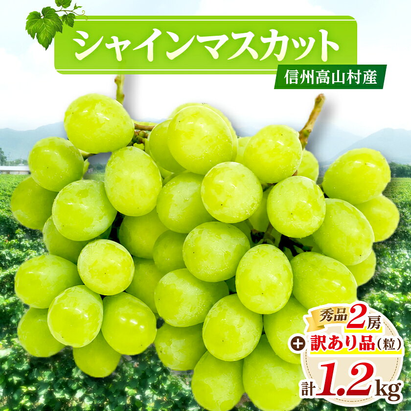 [2026年先行予約]信州高山村産 ★シャインマスカット★秀品2房+訳あり品(粒) 合計1.2kg!_ シャインマスカット ぶどう 葡萄 信州 高山村産 秀品 訳あり 粒 大粒 種なし 皮ごと 冷蔵 美味しい 人気[配送不可地域:離島・北海道・沖縄県]