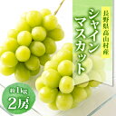【ふるさと納税】信州高山村 長野県産シャインマスカット 約1kg(2房入)【配送不可地域:離島・北海道・沖縄県】【1408176】