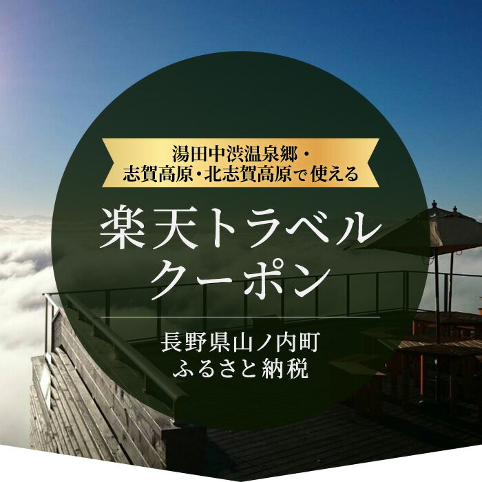 【ふるさと納税】長野県山ノ内町の対象施設で使える　楽天トラベルクーポン　寄付額100,000円(クーポン 30,000円)　【チケット】