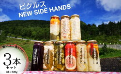 【ふるさと納税】NEW SIDE HANDS ピクルス（S）3本入　【加工食品・野菜加工品・野菜・ピクルス・瓶詰】 画像1