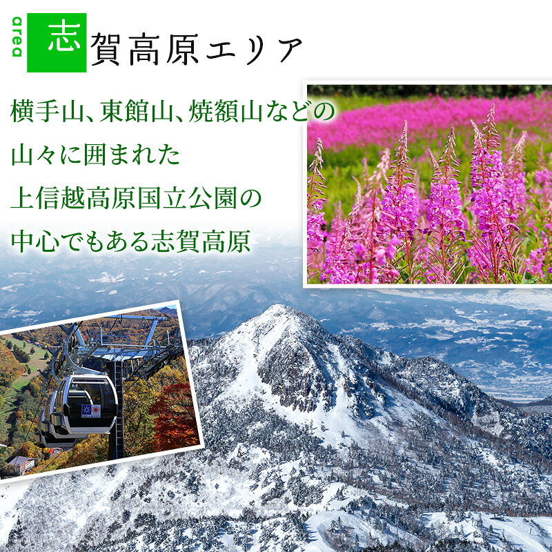 【ふるさと納税】宿泊券 山ノ内町内宿泊補助券 2枚 10,000円分 1年間有効 旅行 チケット 補助券 志賀高原 湯田中渋温泉郷 北志賀高原 地獄谷野猿公苑 温泉 観光 冬 スキー 宿泊 ホテル 旅館 長野県 信州 ギフト　お届け：ご入金確認後、5日程度で発送 f205613-yamanouchi-10000170 長野県山ノ内町 サンプル画像3