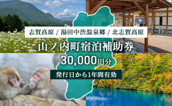 【ふるさと納税】山ノ内町内宿泊補助券（6枚）1年間有効　【宿泊券・チケット・宿泊・補助券】 画像1