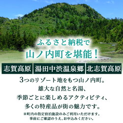 【ふるさと納税】山ノ内町内宿泊補助券（6枚）1年間有効　【宿泊券・チケット・宿泊・補助券】 画像2