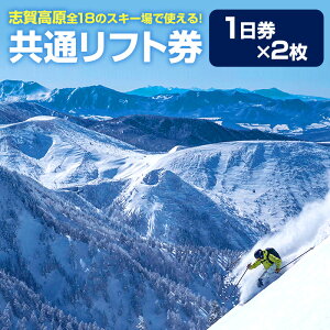 【ふるさと納税】志賀高原スキー場共通リフト券　1日券2枚　【 スキーチケット 雪山 アウトドア スノーボード スキー 48基 リフト ゴンドラ シーズン 利用可能 日本最大 】　お届け：2022年11月15日〜2023年3月15日