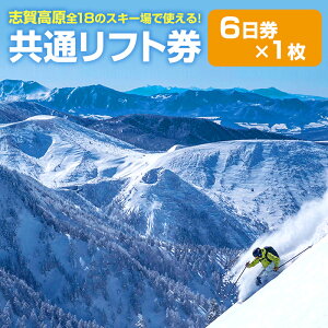 【ふるさと納税】志賀高原スキー場共通リフト券　6日券　【 スキーチケット 雪山 アウトドア スノーボード スキー 48基 リフト ゴンドラ シーズン 利用可能 日本最大 】　お届け：2022年11月15日〜2023年3月15日