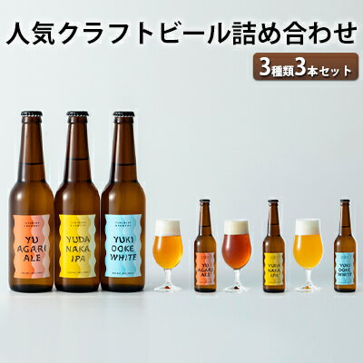 人気クラフトビール詰め合わせ3種類3本セット　【 お酒 ビール クラフトビール 長野県 山ノ内町 飲み比べ セット ペールエール IPA ペルジャンホワイト YUDANAKA 晩酌 ギフト 人気 】