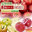 【ふるさと納税】定期便 3ヶ月 志賀高原季節のりんご定期便3回コース 【 りんご シナノスイート ぐんま名月 サンふじ リンゴ フルーツ 果物 デザート おやつ 長野県 長野 定期 お楽しみ 3回 】 お届け:2025年10月20日~12月10日頃発送予定