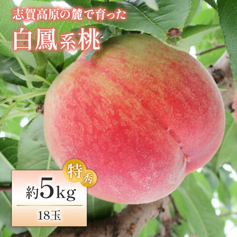 志賀高原の麓で育った 桃（白鳳系）特秀18玉 約5kg 　　お届け：2024年8月1日～10日頃発送予定 ※収穫時期や出荷時期が限られているため日時指定不可