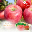 【ふるさと納税】志賀高原の麓で育った シナノドルチェ 秀16玉 約5kg りんご フルーツ 果物 おやつ 長野県 長野 お届け:2025年9月20~9月30日頃発送予定※収穫時期や出荷時期が限られているため日時指定不可(4)
