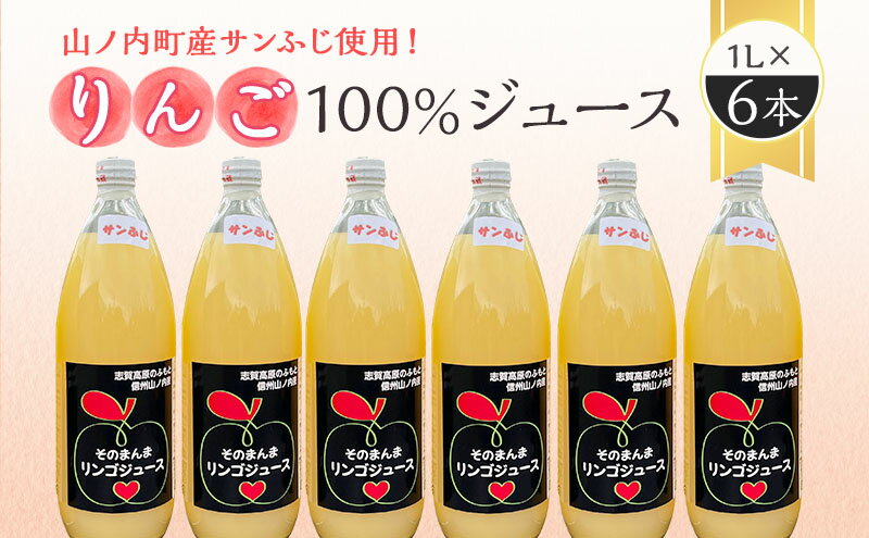 【ふるさと納税】山ノ内町産サンふじ使用！りんごジュース 1000cc×6本セット　【 果汁飲料 アップルジュース フルーツジュース ソフトドリンク 山ノ内町産りんご サンふじ100％ 】