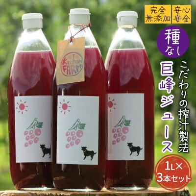 【ふるさと納税】【完全無添加】【安心安全】【こだわりの搾汁製法】種なし巨峰ジュース 3本セット【栽培期間中 除草剤 ネオニコチノイド系農薬 化学肥料不使用】 【 果実飲料 フルーツジュース 飲み物 グレープジュース 】