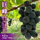【ふるさと納税】巨峰(種ありと種なし)の食べくらべセット 約2kg2025年(R7年)9月中旬~10月下旬頃出荷予定 お届け:2025年9月15日~10月30日