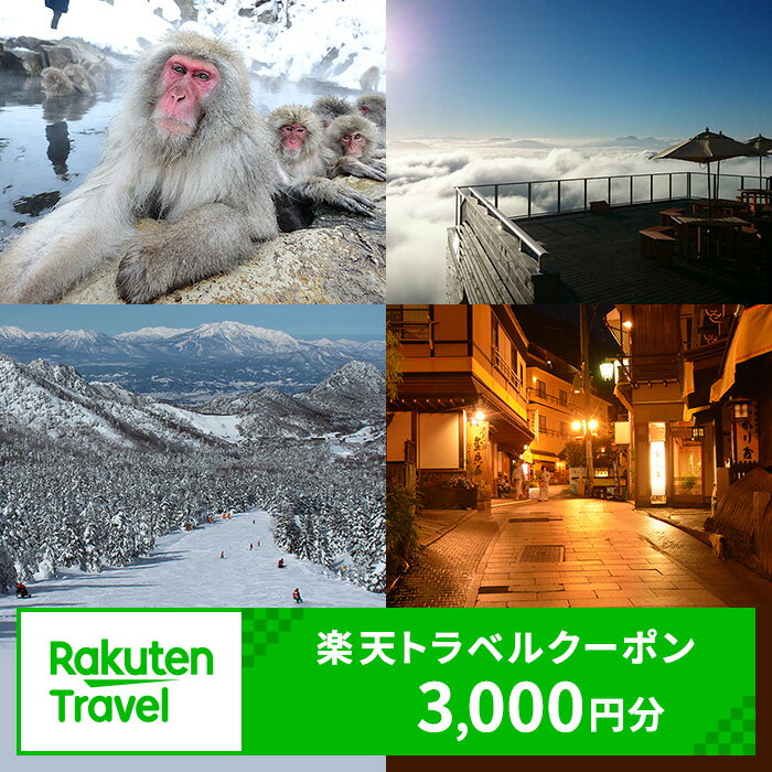 長野県山ノ内町の対象施設で使える　楽天トラベルクーポン 寄付額10,000円(クーポン3,000円)　