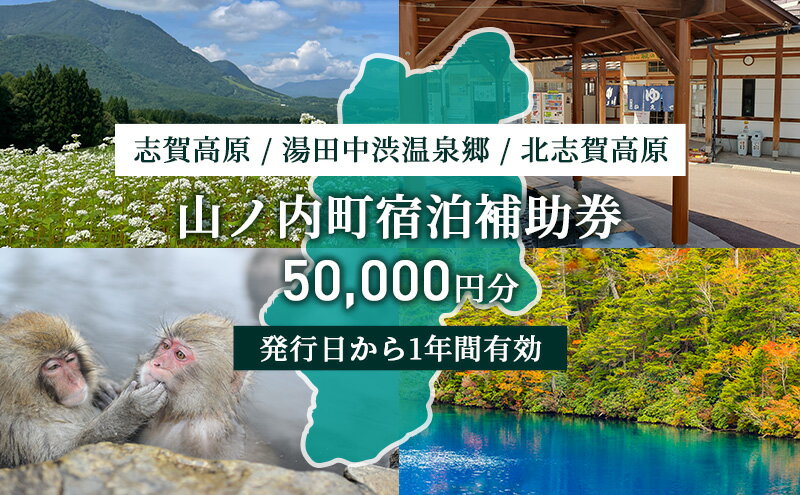 【ふるさと納税】山ノ内町内宿泊補助券（10枚）1年間有効 50,000円分 旅行 宿泊券 ホテル 旅館 チケット 宿泊 補助券 志賀高原 湯田中渋温泉郷 北志賀高原 地獄谷野猿公苑 温泉 ギフト 自然 観光 長野県 信州 冬 スキー　【山ノ内町】