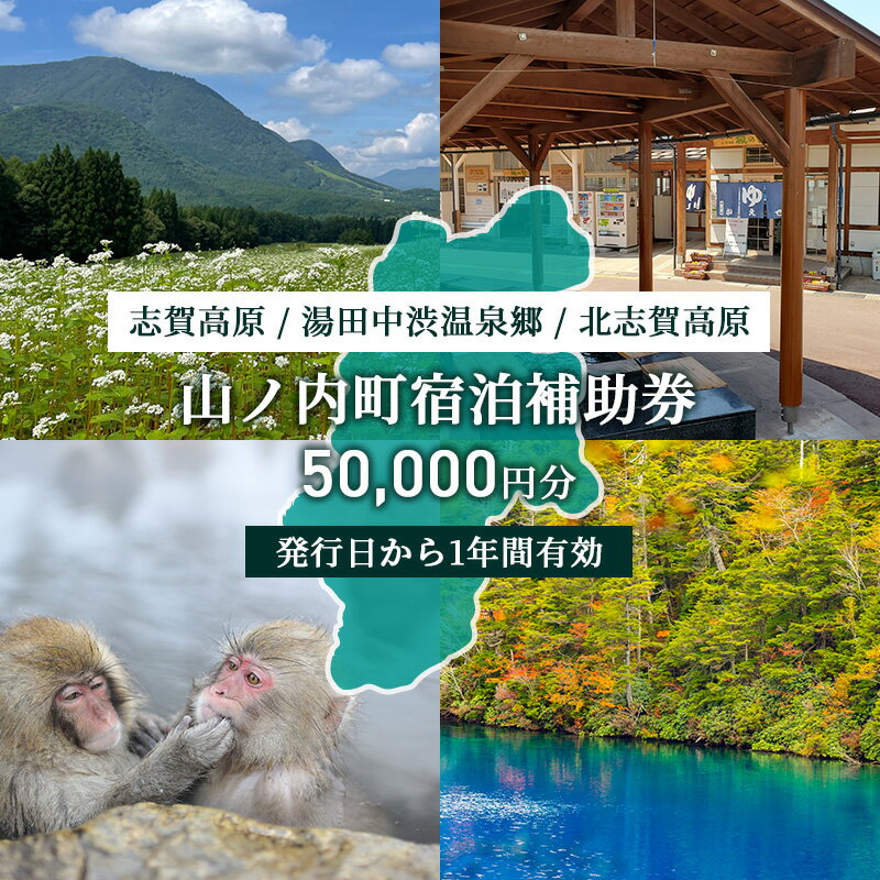 山ノ内町内宿泊補助券(10枚)1年間有効 50,000円分 旅行 宿泊券 ホテル 旅館 チケット 宿泊 補助券 志賀高原 湯田中渋温泉郷 北志賀高原 地獄谷野猿公苑 温泉 ギフト 自然 観光 長野県 信州 冬 スキー [山ノ内町]