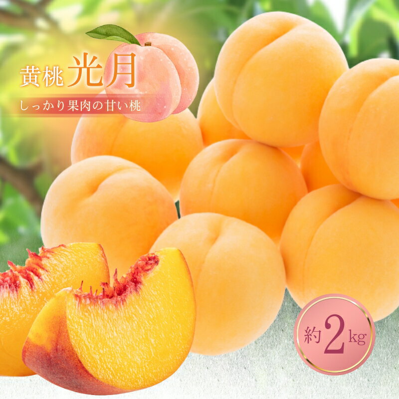 【ふるさと納税】桃 「 光月 」約 2kg 2024年 10月上旬発送　【 長野県 長野県産 黄桃 もも もも(黄桃) フルーツ 果物 希少 長野 国産 2024 先行予約 】　山ノ内町　お届け：2024年10月上旬～10月中旬まで